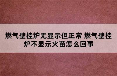 燃气壁挂炉无显示但正常 燃气壁挂炉不显示火苗怎么回事